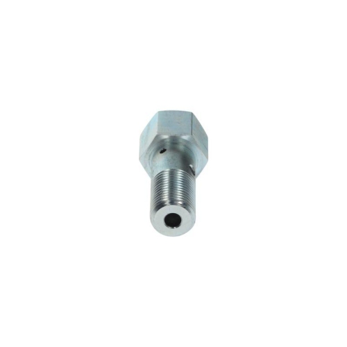 BOSCH Ventil, Einspritzanlage 2 469 403 479
