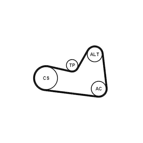 CONTINENTAL CTAM Keilrippenriemensatz 6PK1033K1