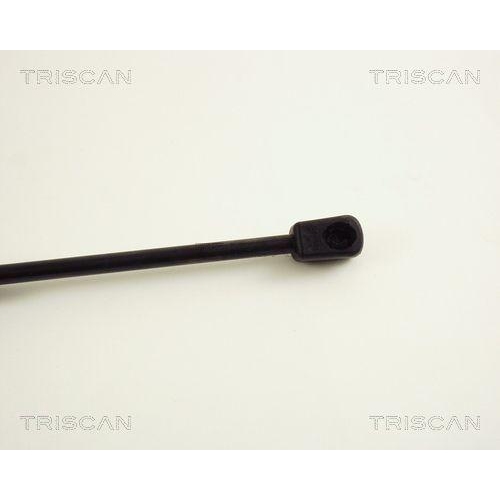 TRISCAN Gasfeder, Koffer-/Laderaum 8710 29248