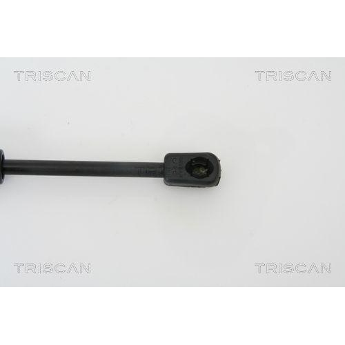 TRISCAN Gasfeder, Koffer-/Laderaum 8710 29260