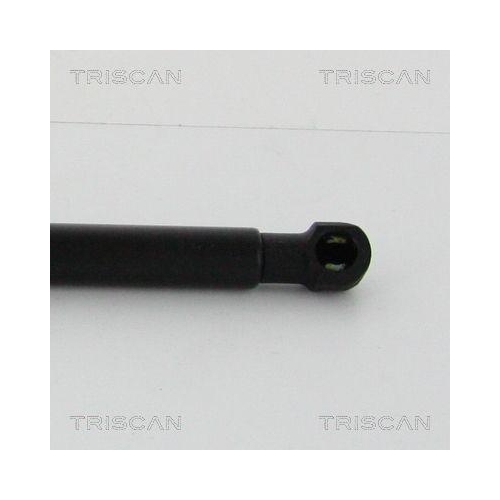 TRISCAN Gasfeder, Koffer-/Laderaum 8710 29286
