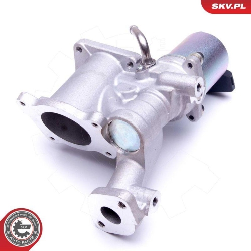 ESEN SKV AGR-Ventil 14SKV166