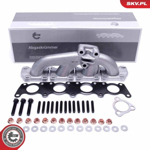 ESEN SKV Kr&uuml;mmer, Abgasanlage 49SKV069