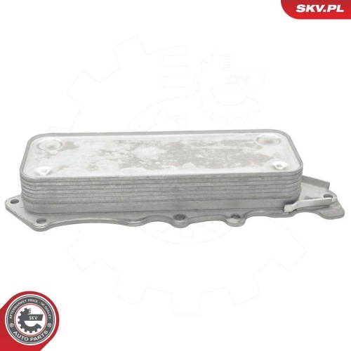 ESEN SKV &Ouml;lk&uuml;hler, Motor&ouml;l 31SKV325