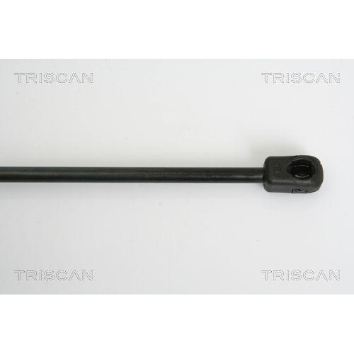TRISCAN Gasfeder, Koffer-/Laderaum 8710 38222