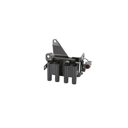 BorgWarner (BERU) Z&uuml;ndspule ZS561