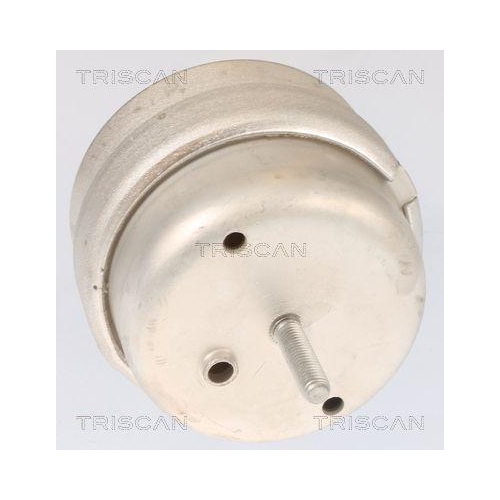 TRISCAN Lagerung, Motor 8505 29105