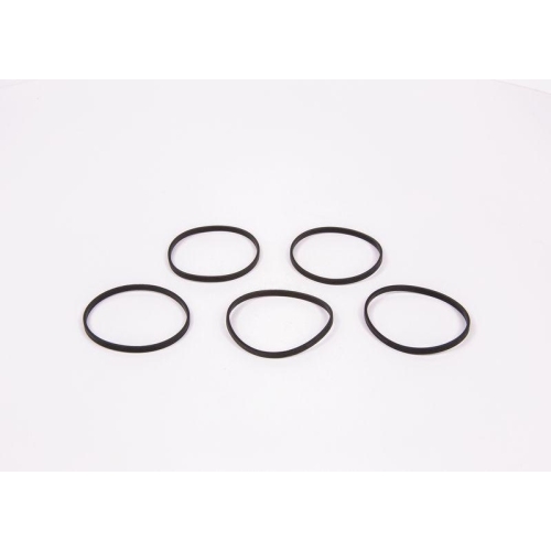 BOSCH Dichtung 1 420 206 009