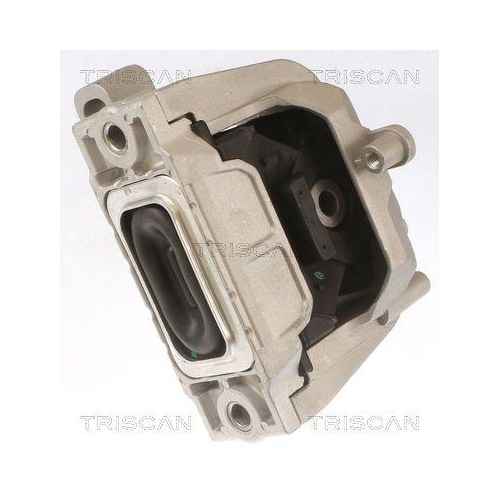 TRISCAN Lagerung, Motor 8505 29145