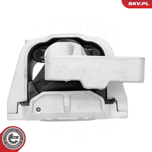 ESEN SKV Lagerung, Motor 75SKV324
