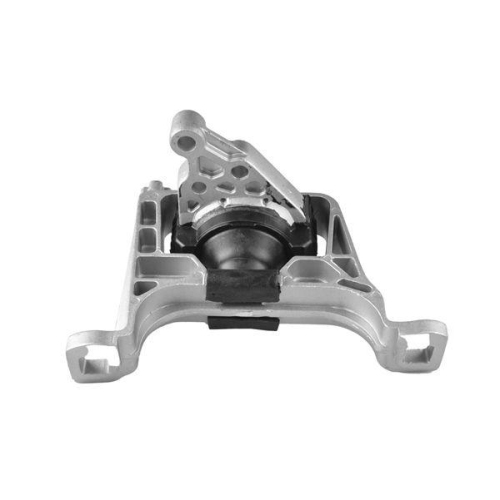 TEDGUM Lagerung, Motor