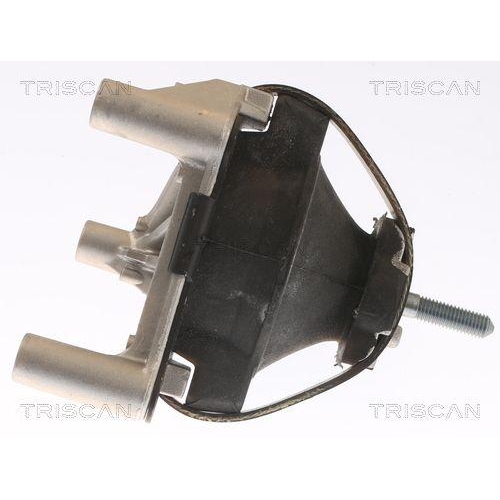 TRISCAN Lagerung, Motor 8505 65100