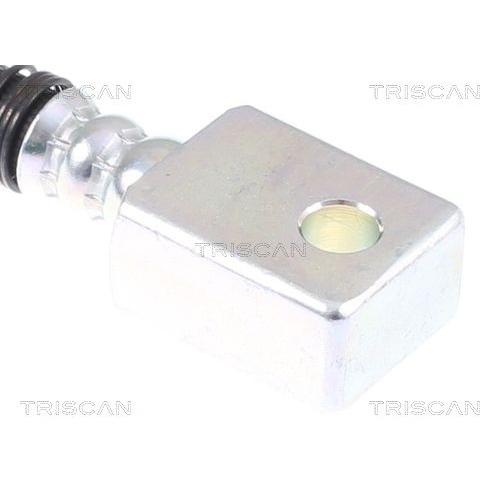 TRISCAN Bremsschlauch