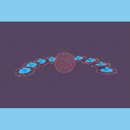 Ersatz-Schleifpads, Durchmesser50mm, K&ouml;rnung 150, 10er Pack KS TOOLS 515.5084