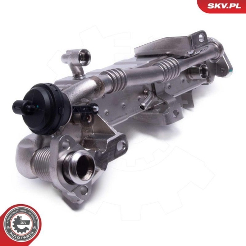 ESEN SKV AGR-Ventil 14SKV239