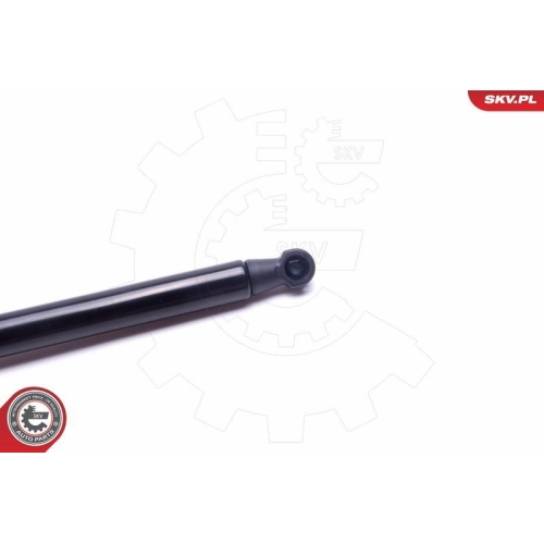 ESEN SKV Gasfeder, Koffer-/Laderaum