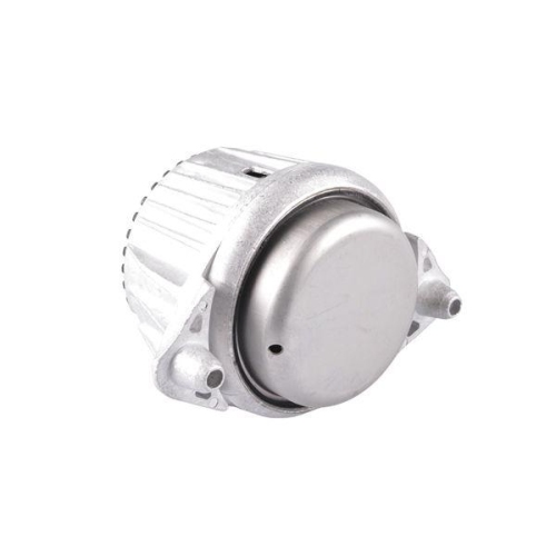 TEDGUM Lagerung, Motor TED39310