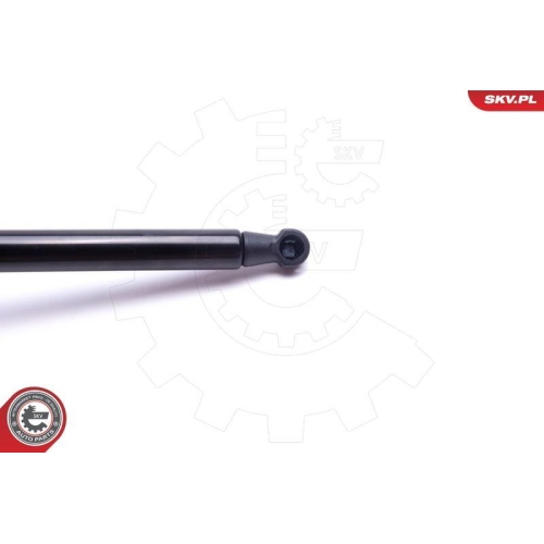 ESEN SKV Gasfeder, Koffer-/Laderaum