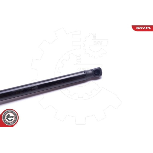 ESEN SKV Gasfeder, Koffer-/Laderaum