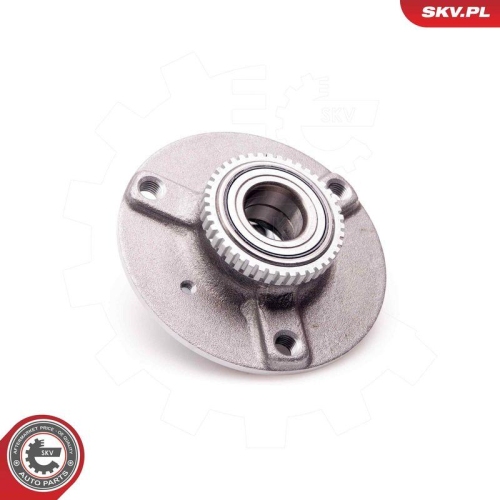 ESEN SKV Radlagersatz 29SKV046