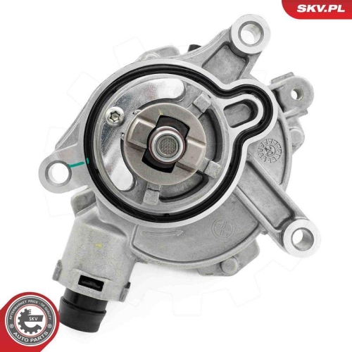 ESEN SKV Unterdruckpumpe, Bremsanlage 18SKV078