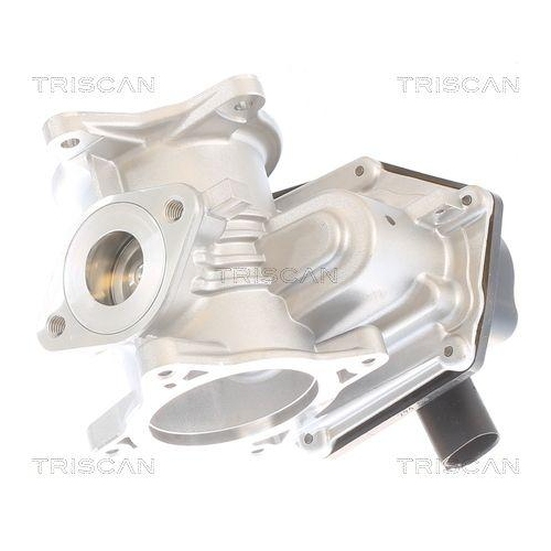 TRISCAN AGR-Ventil 8813 29348