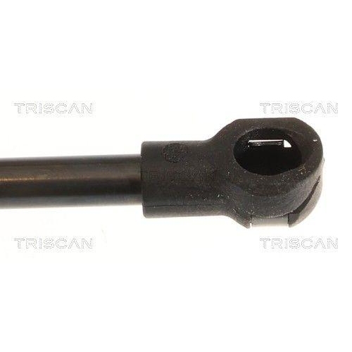 TRISCAN Gasfeder, Koffer-/Laderaum 8710 25246