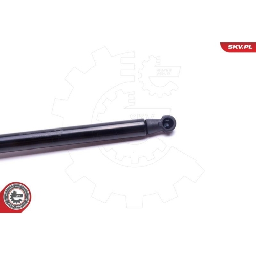 ESEN SKV Gasfeder, Koffer-/Laderaum