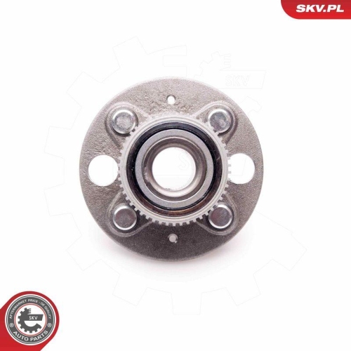 ESEN SKV Radlagersatz 29SKV051