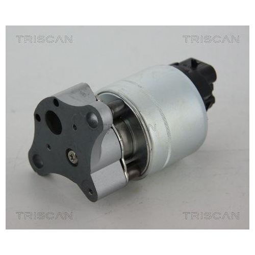 TRISCAN AGR-Ventil 8813 21006