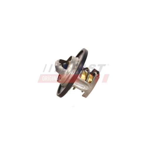 FAST Thermostat, K&uuml;hlmittel FT58009
