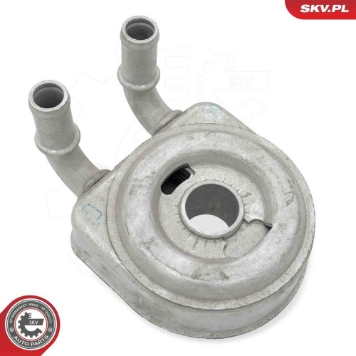 ESEN SKV &Ouml;lk&uuml;hler, Motor&ouml;l 31SKV307