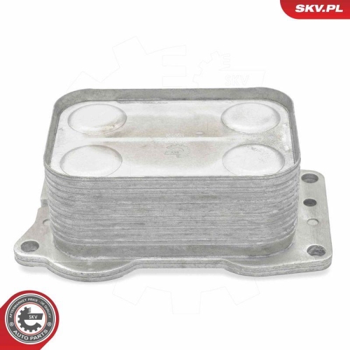 ESEN SKV &Ouml;lk&uuml;hler, Motor&ouml;l 31SKV308