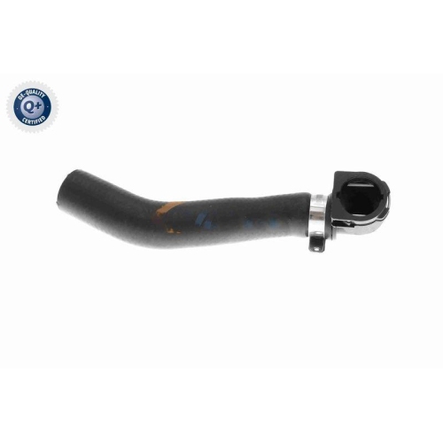 VAICO K&uuml;hlerschlauch Q+, Erstausr&uuml;sterqualit&auml;t V20-3682
