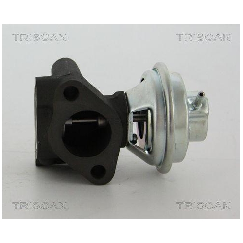 TRISCAN AGR-Ventil 8813 43016