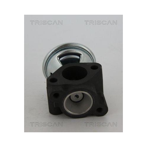 TRISCAN AGR-Ventil 8813 43040