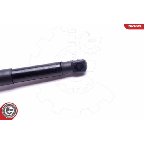 ESEN SKV Gasfeder, Koffer-/Laderaum