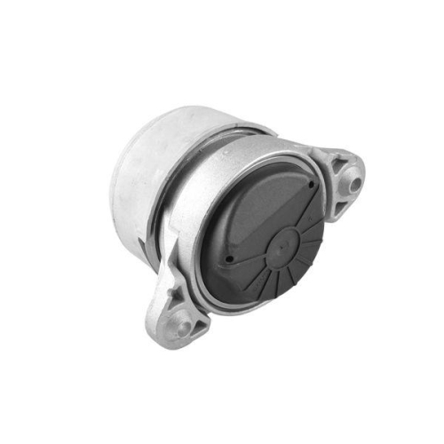 TEDGUM Lagerung, Motor TED79851