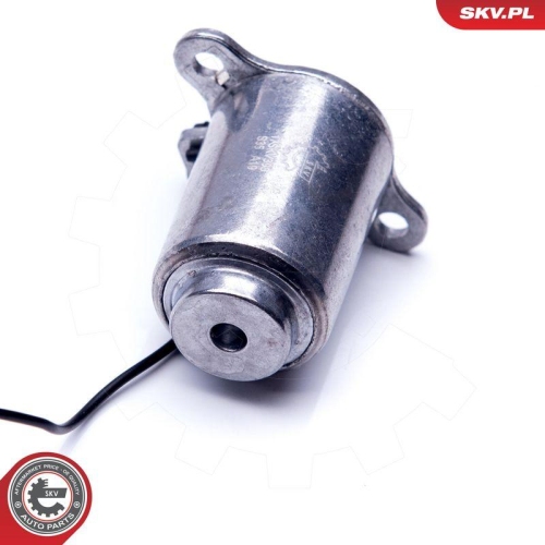 ESEN SKV Sensor, Motor&ouml;lstand 17SKV398