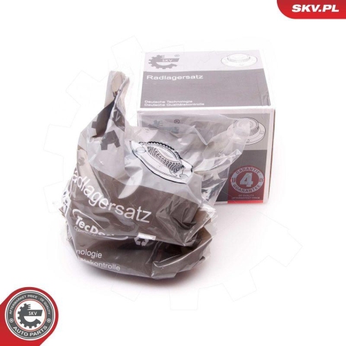ESEN SKV Radlagersatz 29SKV064