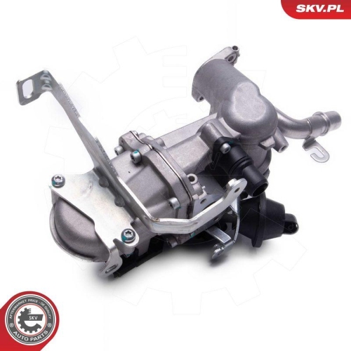 ESEN SKV AGR-Ventil 14SKV240