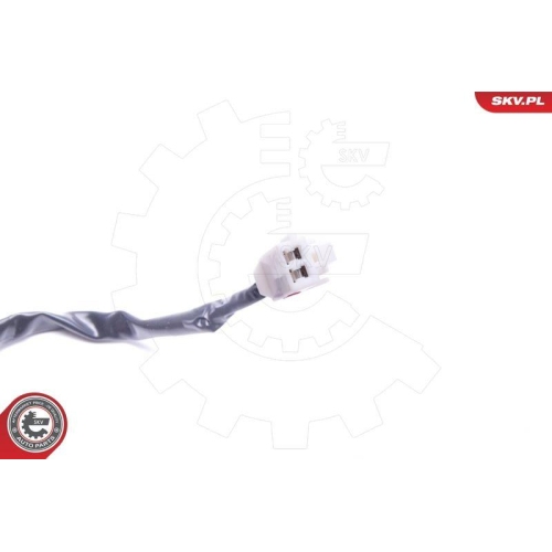 ESEN SKV T&uuml;rau&szlig;engriff