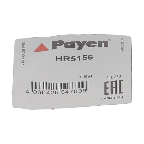 PAYEN Dichtungssatz, Ventilschaft HR5156