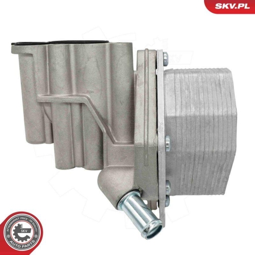 ESEN SKV &Ouml;lk&uuml;hler, Motor&ouml;l 31SKV338