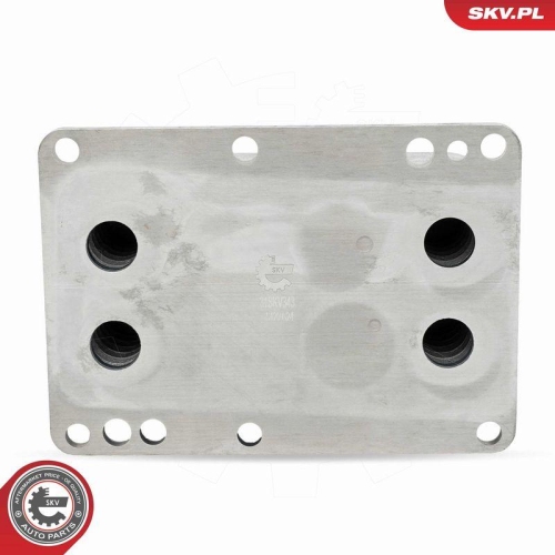 ESEN SKV &Ouml;lk&uuml;hler, Motor&ouml;l 31SKV343