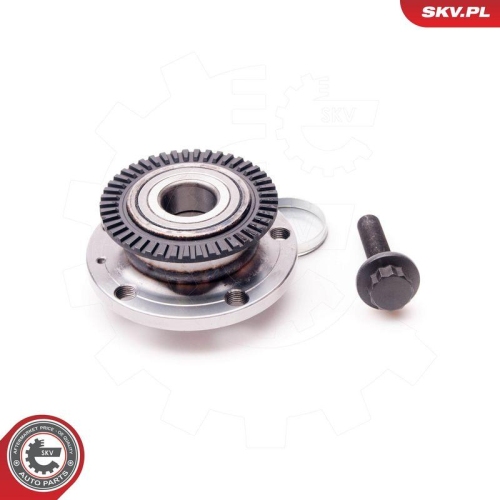 ESEN SKV Radlagersatz 29SKV069