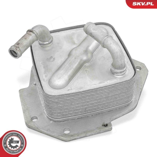 ESEN SKV &Ouml;lk&uuml;hler, Motor&ouml;l 31SKV349