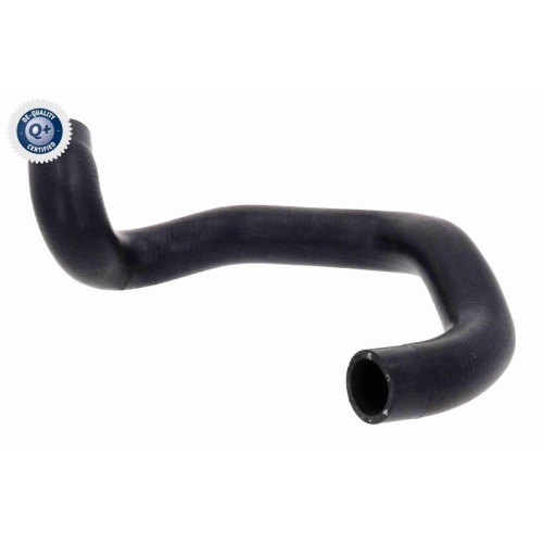 VAICO K&uuml;hlerschlauch Q+, Erstausr&uuml;sterqualit&auml;t V22-1160