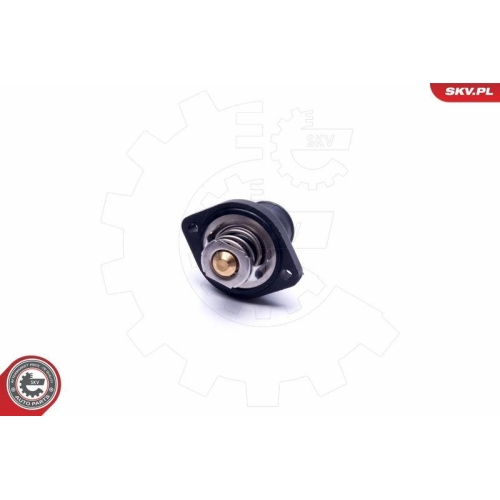 ESEN SKV Thermostat, K&uuml;hlmittel