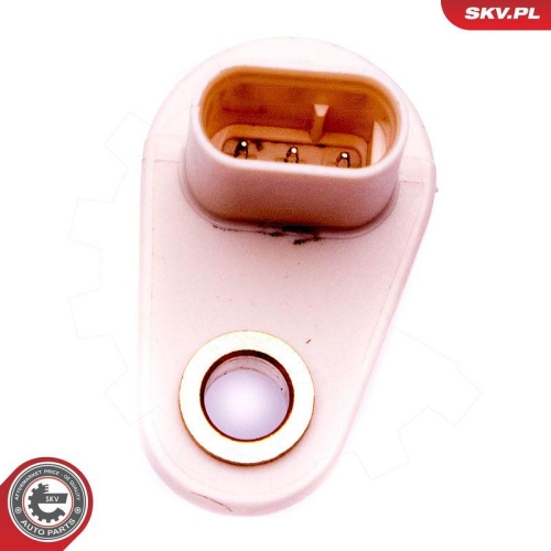 ESEN SKV Sensor, Nockenwellenposition 17SKV497